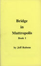 Bridge in mutropolis
