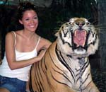 Siracha tiger zoo